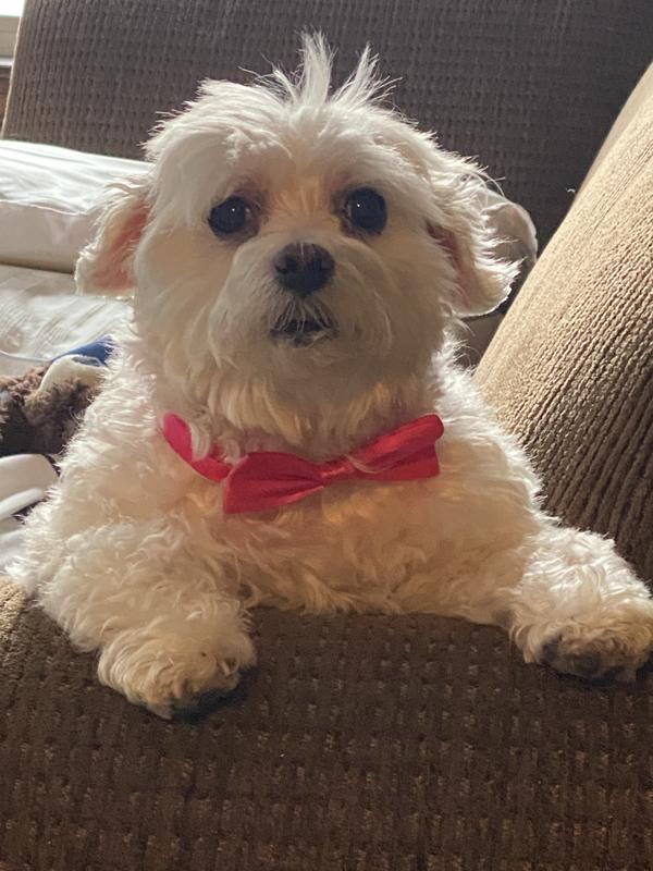 My beautiful Sophie