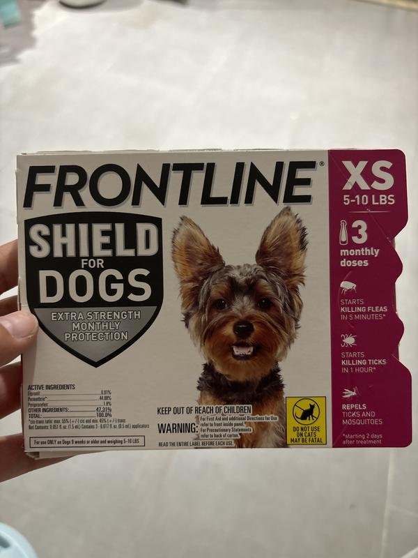 Frontline for outlet yorkies