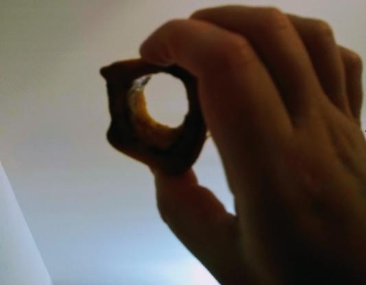 Another picture to show the size of the bone