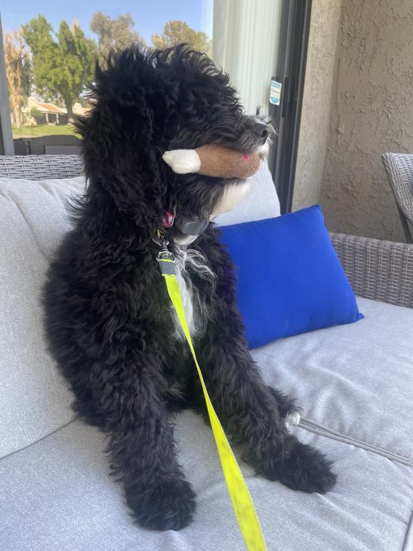 Happier days with Jackie