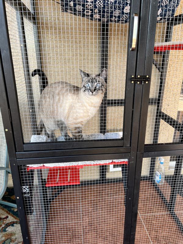 Babe loving her catio.