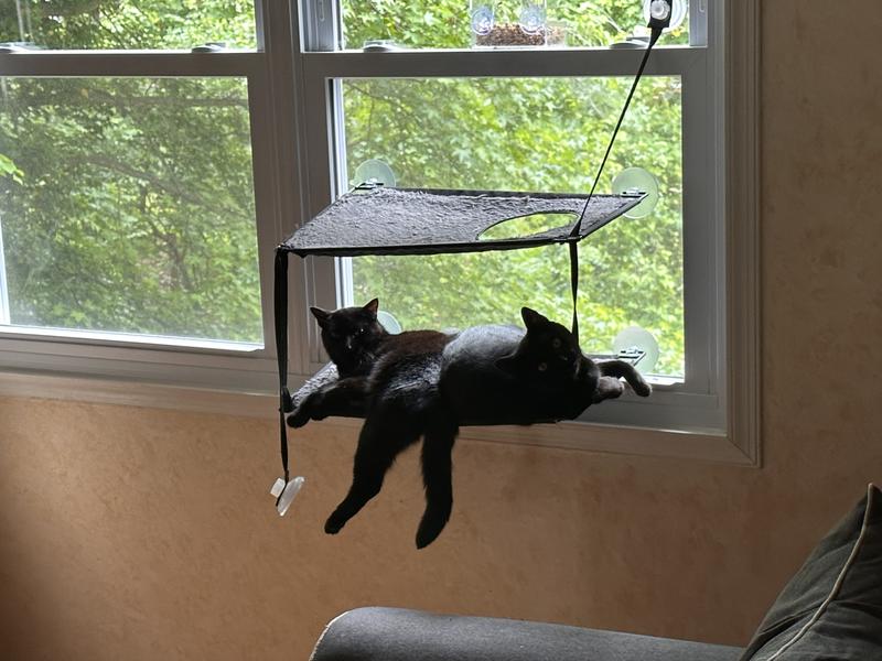 K&H PET PRODUCTS EZ Mount Double Stack Kitty Sill Cat Window Perch