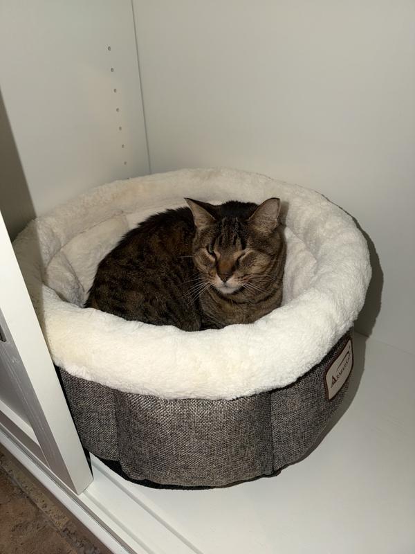 Curiosity then Love At First Sight!