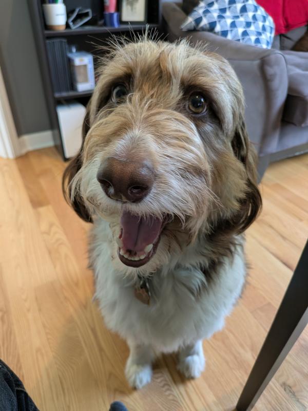 Come on, I want some more Natural Farm Red Meat!