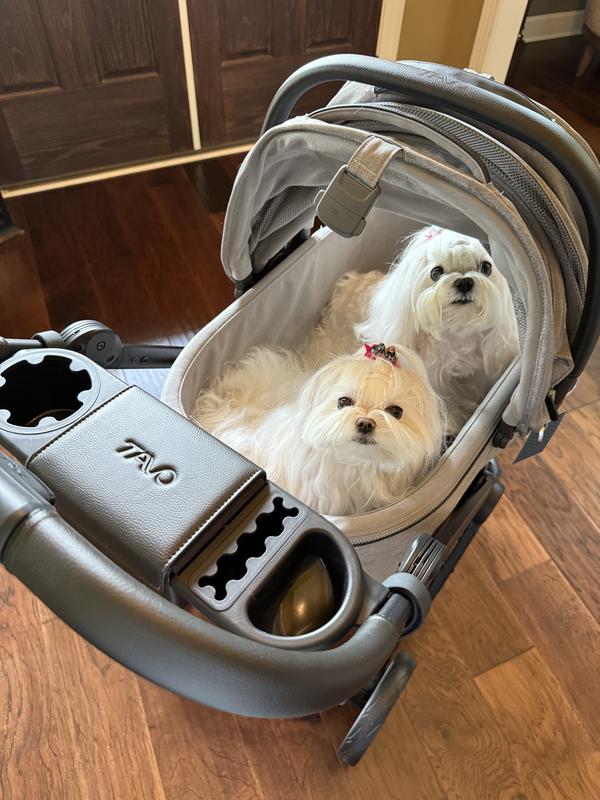 Lots of space and storage