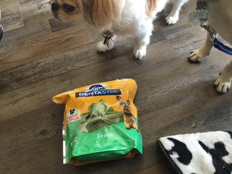 Mint dentastix clearance