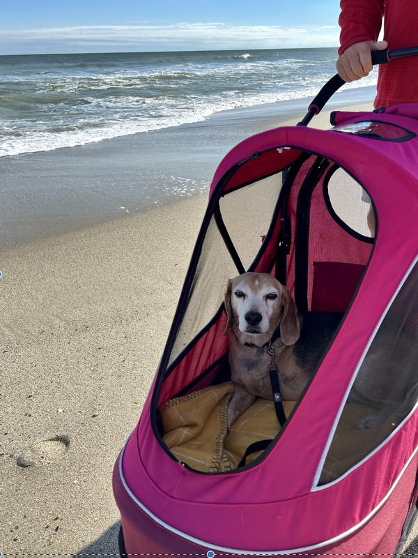 Discontinued PETIQUE All Terrain Dog & Cat Jogging Stroller, Sailboat