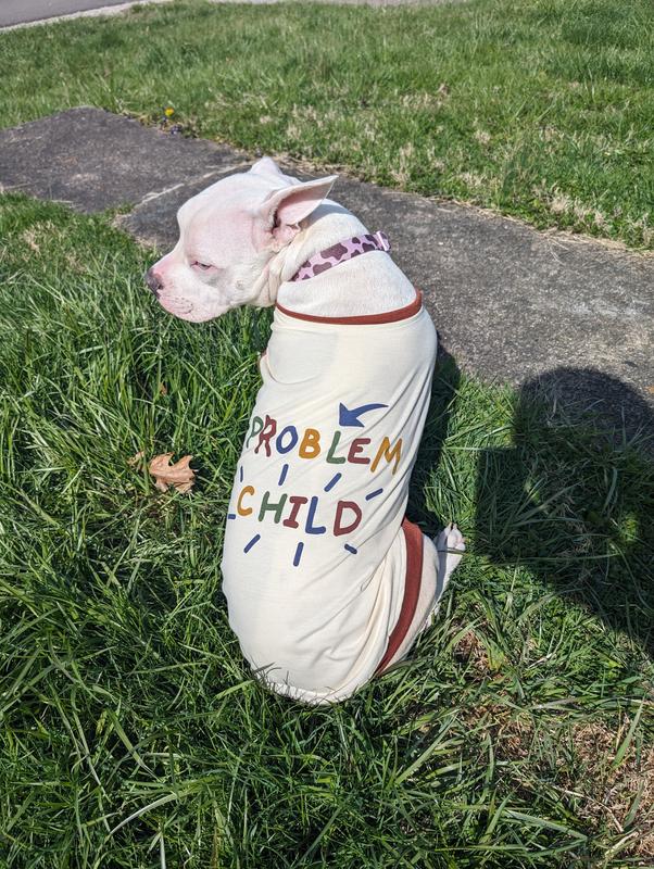 Problem child dog hoodie hot sale