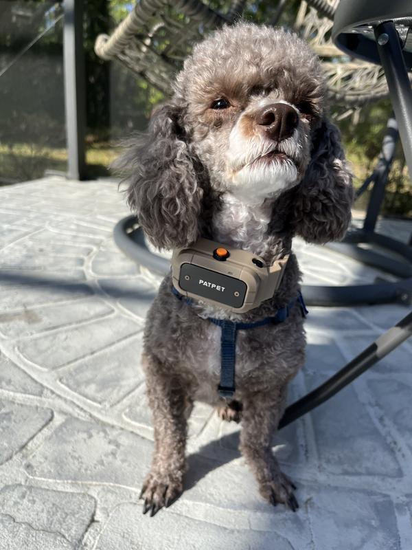 PATPET P930 APP Bluetooth & Rechargeable Remote Training Dog Collar