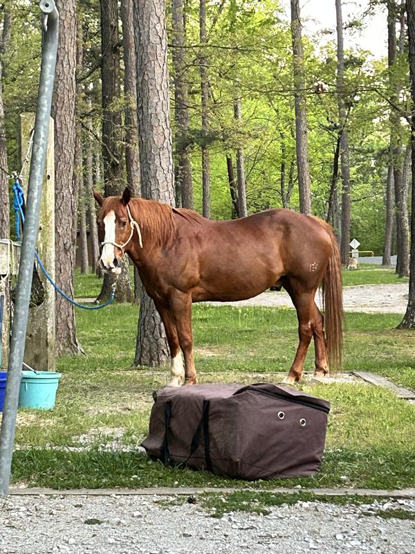 My best friend! He’s 23 years old.