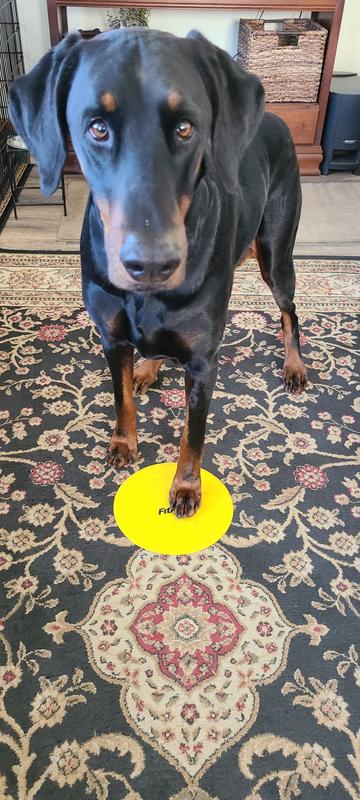 Building on a trick with the talking buttons.