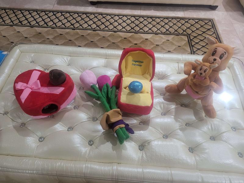Frisco Brunch Egg in Hole 2-in-1 Plush Squeaky Dog Toy