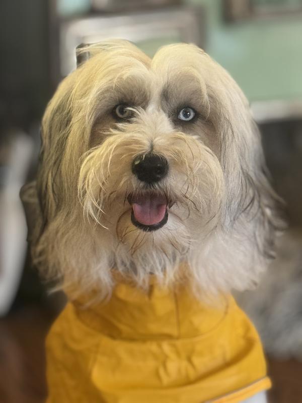 Yellow is her new color!