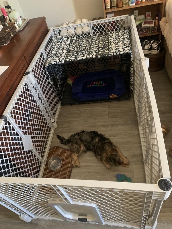 Great my puppy love his safe place!!!!!