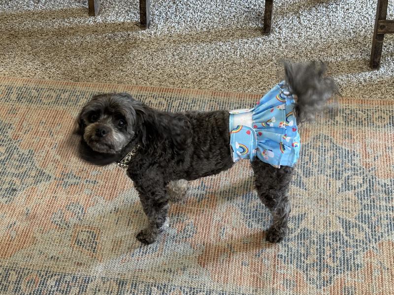 Zoey in her cute ruffle diaper!!!