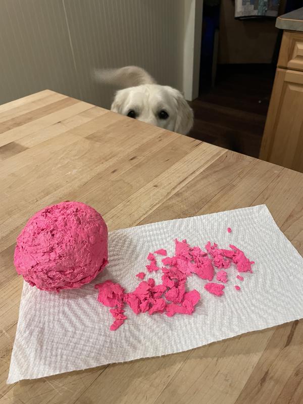 This is the extra large Wunderball after 3 hours. It is NOT indestructible. But the dogs do love the bouncing as and solid “catch”.