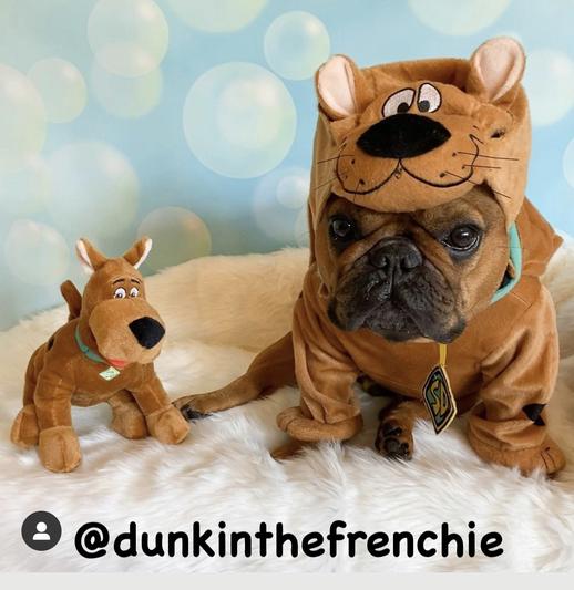 Discontinued RUBIE'S COSTUME COMPANY ScoobyDoo! Dog Costume, Large