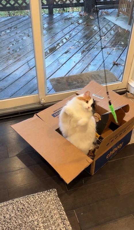 "Best day ever"- Popcorn, probably.