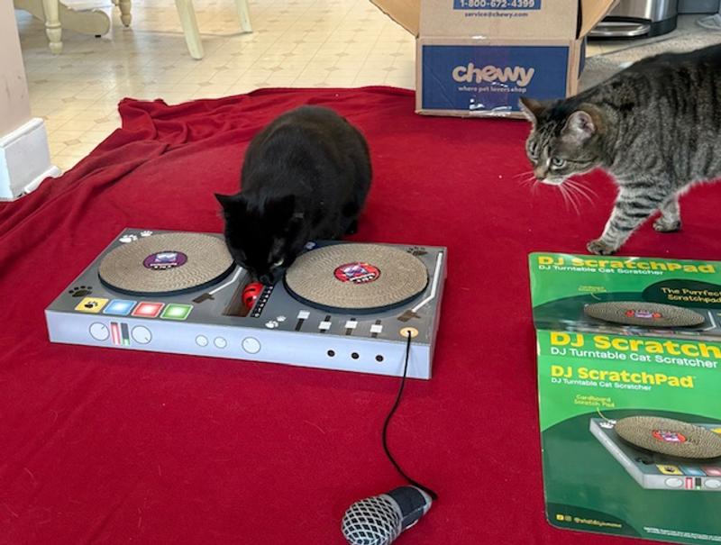 Mac approaches the party