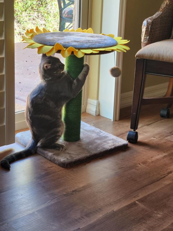 FRISCO Sunflower Cat Scratching Post, Single Post