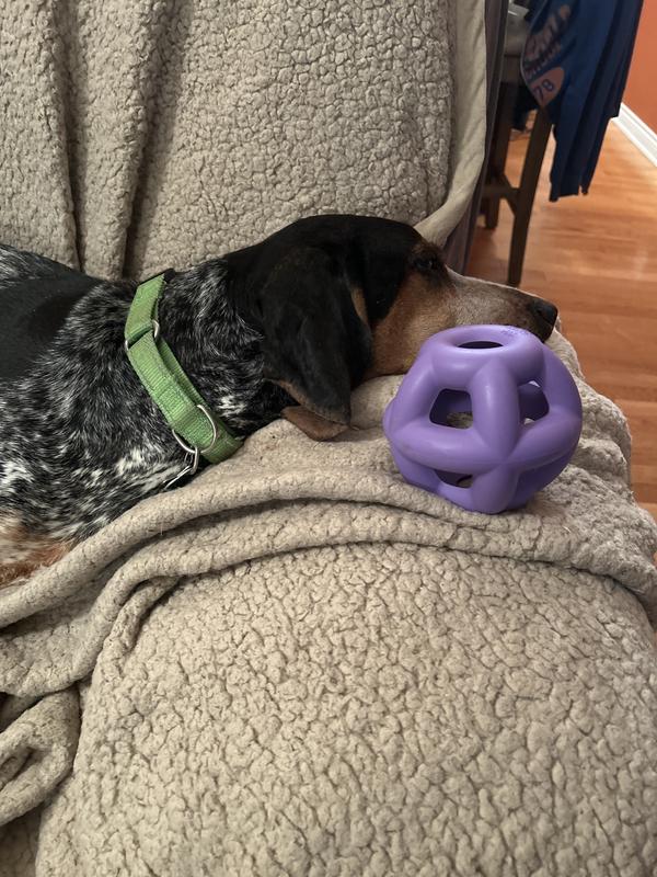 It’s a nice size for medium to large dogs.