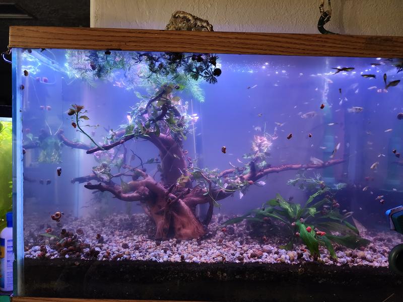 Absolutely STUNNING!!!