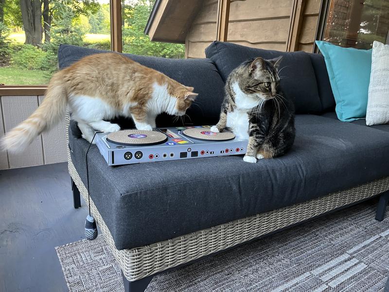 Two turntables and a microphone.......