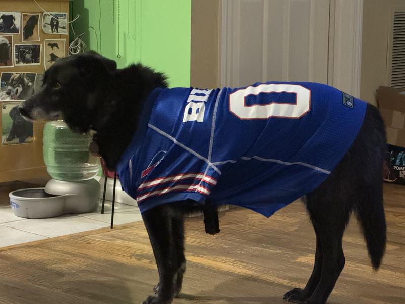 New Jersey Fits Well!!