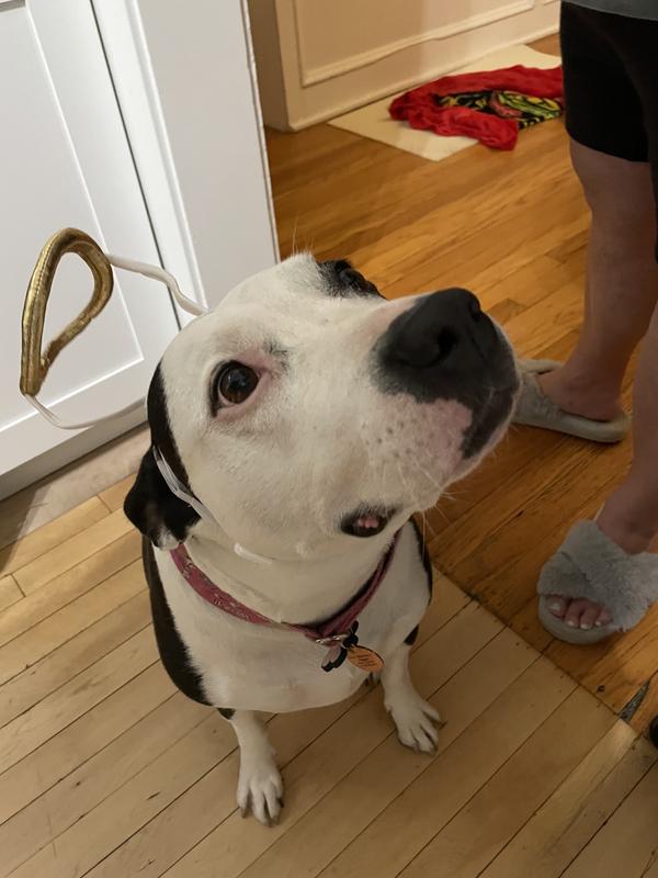 Fits around face but ears don’t fit where the ear holes are