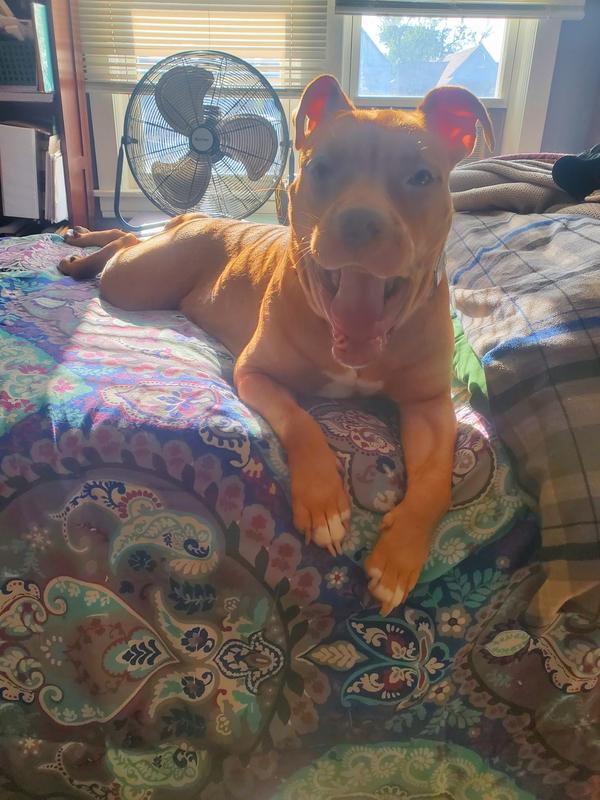 Bless is waking up from a nap.