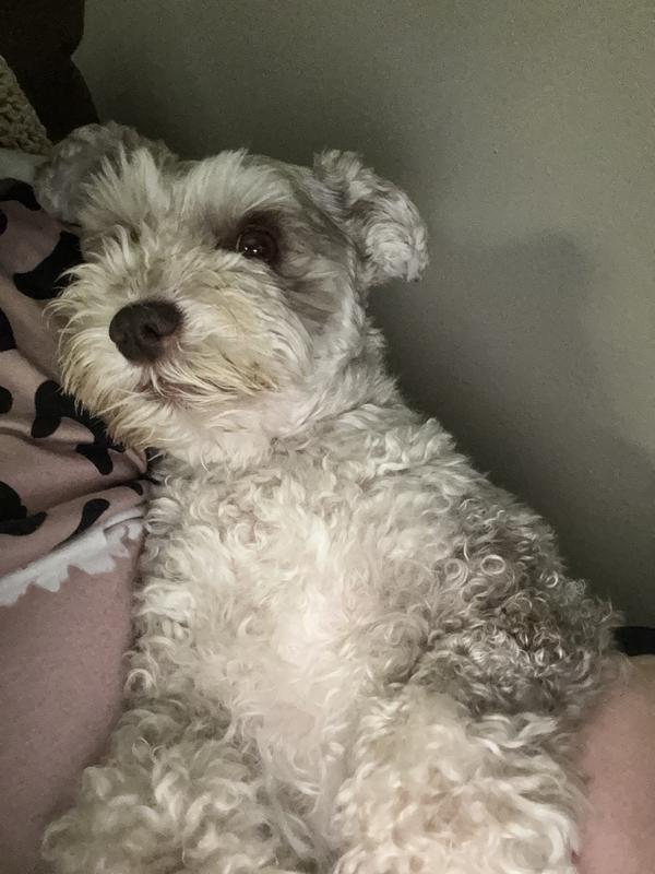 Comforting Sophia, as she’s feeling poorly