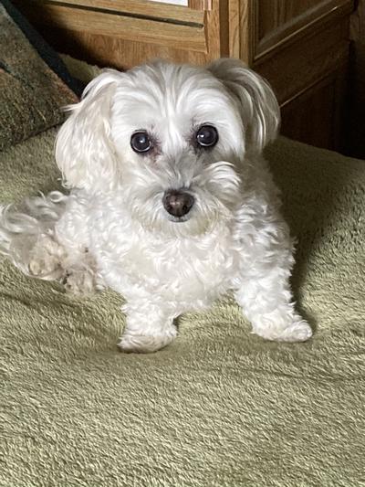 Sophie loves them too!