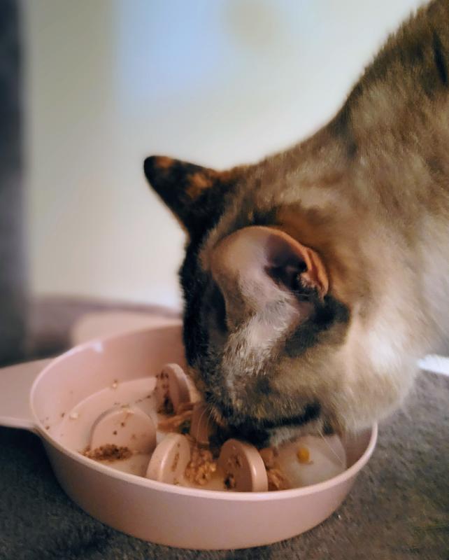 My normally picky girl slurped it right up!