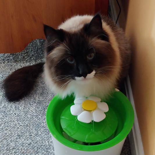 Mom, what are you doing, I was just having a drink.
