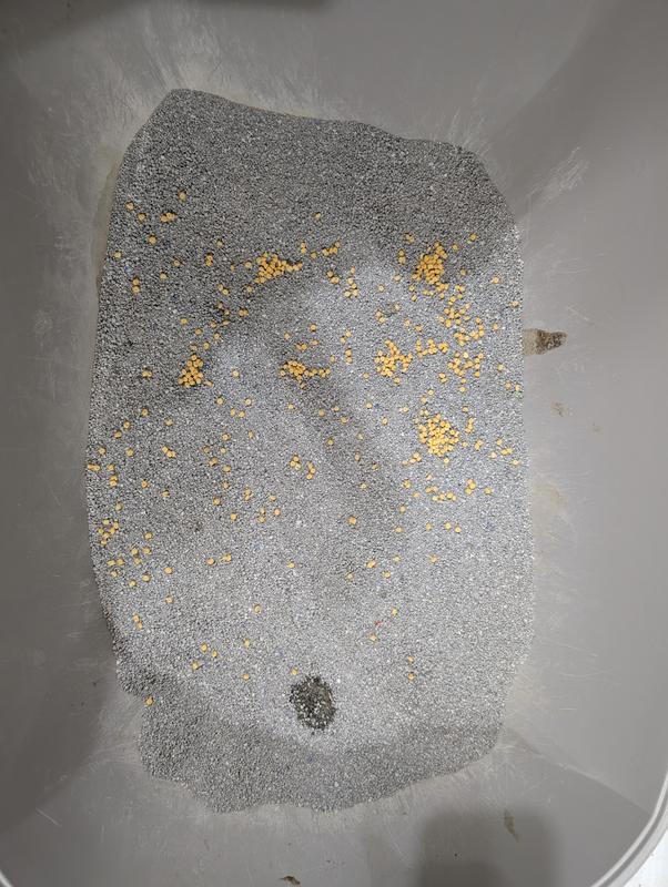 Only one package sprinkled on the litter