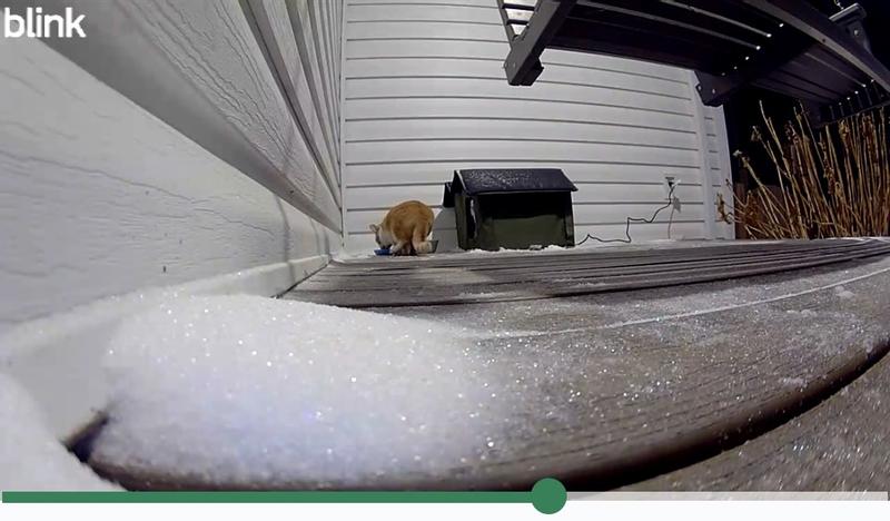 Eating before nap time