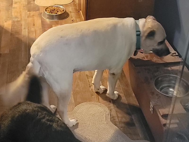 My full figure girl Maddie