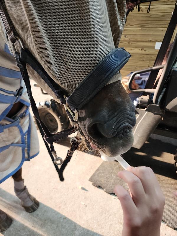 Doc eating it right out of the scoop!