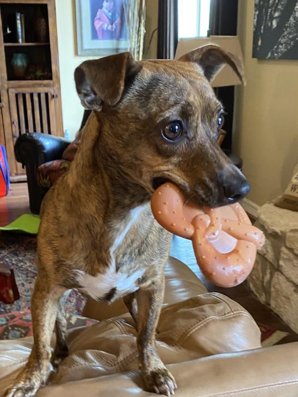 NYLABONE Power Chew Lobster, Cheese, & Pretzel Dog Chew Toy Bundle