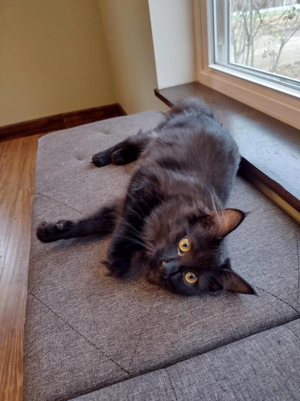 Lily Jade loving life!