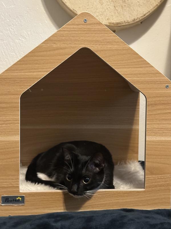 She loved it before I even had a chance to hang it up