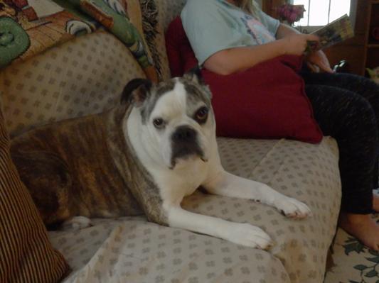 Thank you from Miss Maggie for her favorite treat!