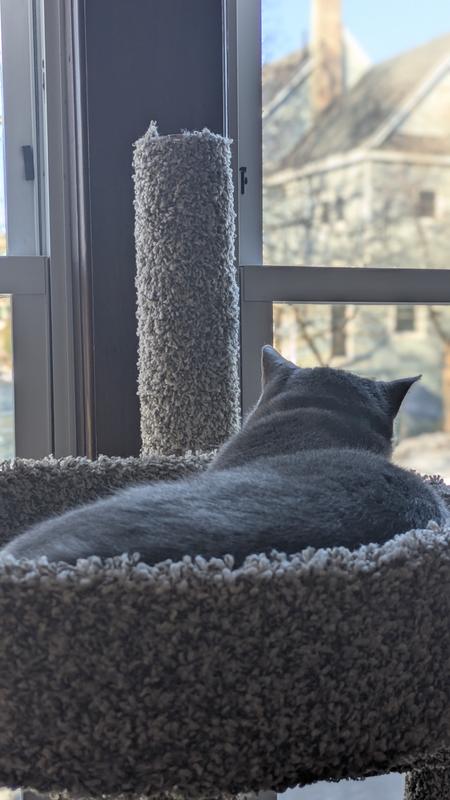 We use it to keep an eye on things in the neighborhood