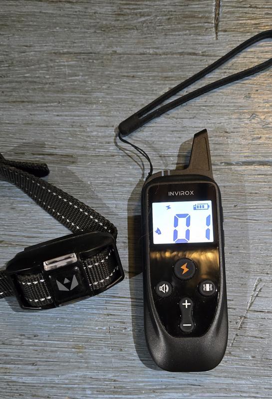 Collar and remote.  Remote displays that it is setup for collar 1 and that shock correction is option 1