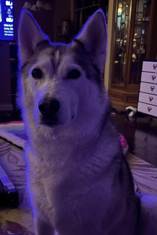 Kelsi, after bath w/ this shampoo