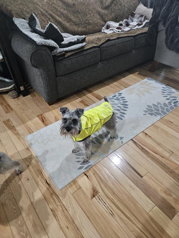 Normally she hates the feel of a rain coat. Not this one!