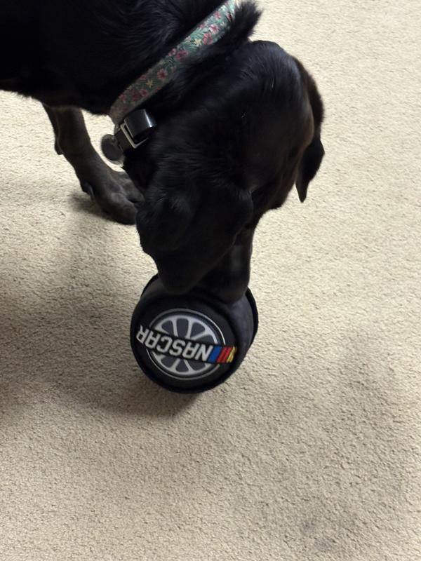 My new toy.. hmm let’s see if I can destroy it!