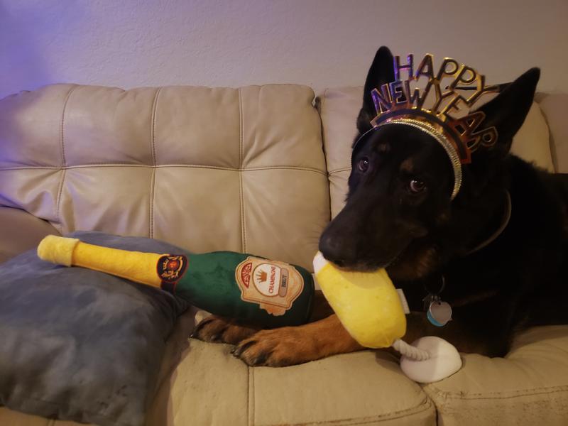 Big Girl Loves her Cheers to the New Year!