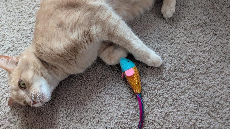 CAT FISH ソフビ Catit Pixi スピナー シルバー | Catit（キャットイット）公式