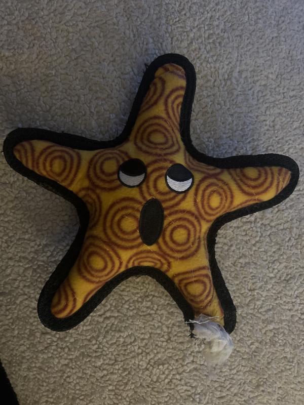 Not “Tuff” Enough! 😳